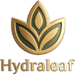 hl logo gold 02